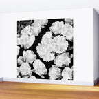 White Peony Flowers Black Background #decor #society6 #buyart Wall Mural Gallery Image 2