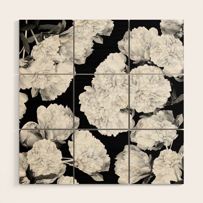 White Peony Flowers Black Background #decor #society6 #buyart Wood Wall Art Gallery Image 1