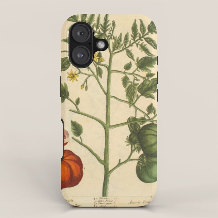 Tomato by Elizabeth Blackwell from "A Curious Herbal," 1737 (benefiting The Nature Conservancy) iPhone Case Gallery Image 1