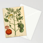 Tomato by Elizabeth Blackwell from "A Curious Herbal," 1737 (benefiting The Nature Conservancy) Stationery Card Gallery Image 2