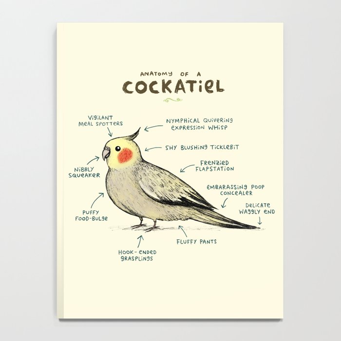 Anatomy of a Cockatiel Notebook Gallery Image 4
