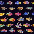 Killifish! Coffee Mug Gallery Image 2