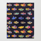 Killifish! Notebook Gallery Image 4