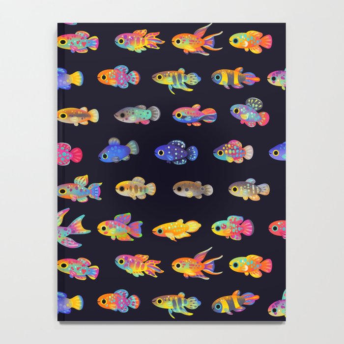 Killifish! Notebook Gallery Image 4