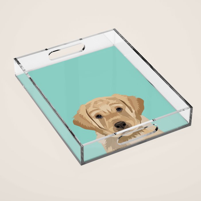 Labrador puppy pet portrait wall art and gifts for dog breed lovers Acrylic Tray Gallery Image 1