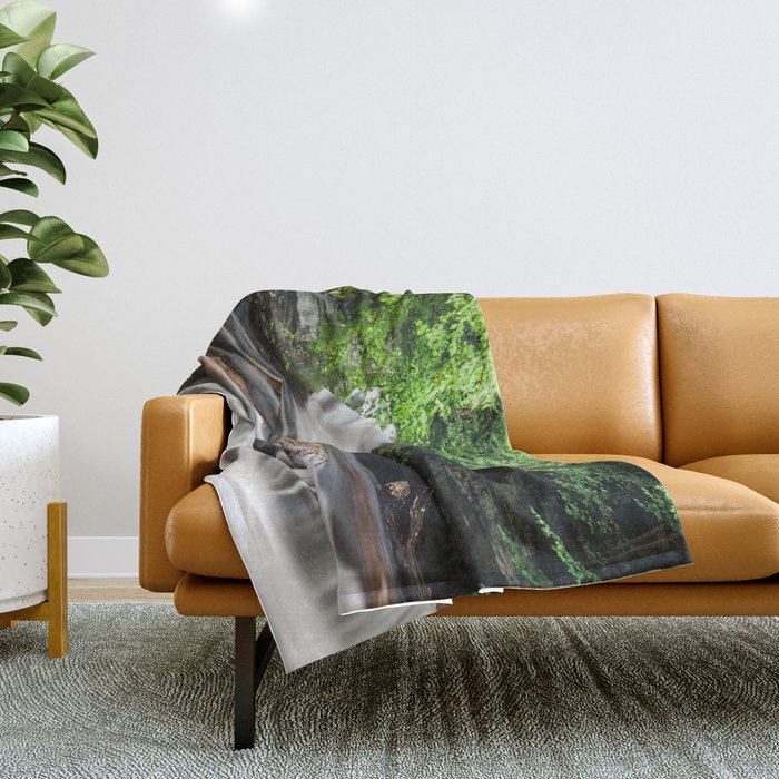 Appalachian Waterfall - Ricketts Glen Adventure Throw Blanket Gallery Image 1