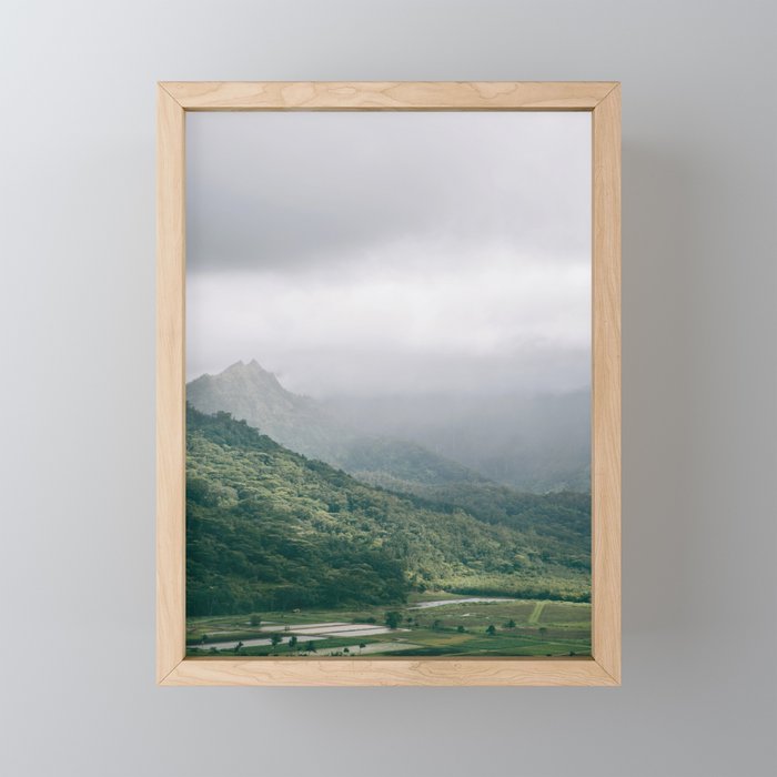 Hanalei Taro Fields - Hawaii Tropical Nature, Landscape Photography Mini Art Print Gallery Image 1
