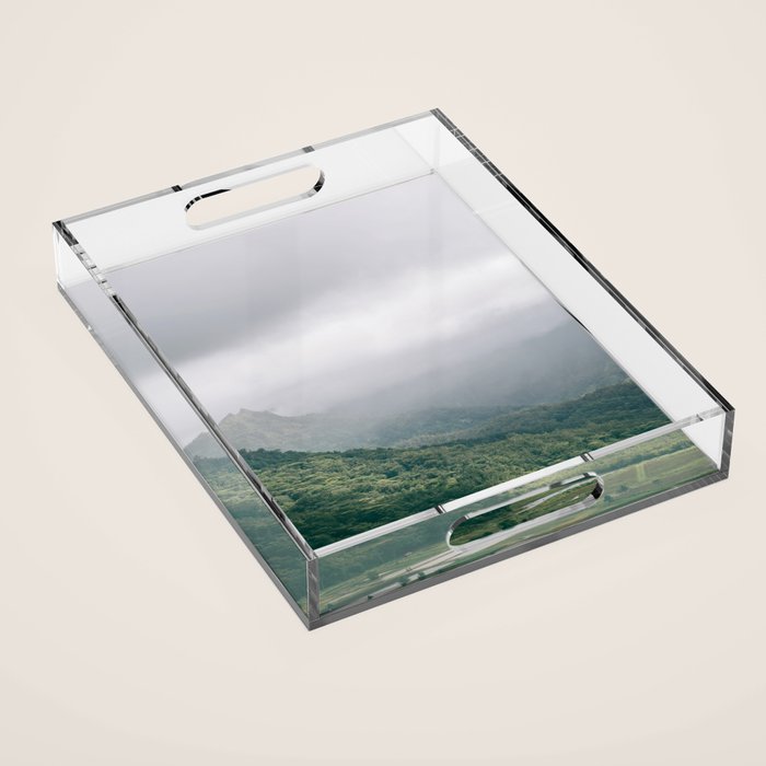 Hanalei Taro Fields - Hawaii Tropical Nature, Landscape Photography Acrylic Tray Gallery Image 1