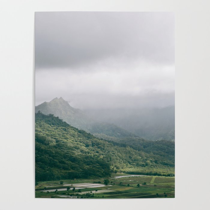 Hanalei Taro Fields - Hawaii Tropical Nature, Landscape Photography Poster Gallery Image 4