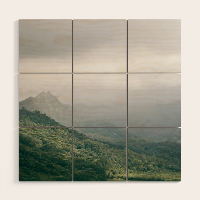Hanalei Taro Fields - Hawaii Tropical Nature, Landscape Photography Wood Wall Art Gallery Image 1