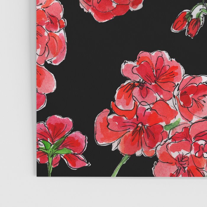 Red Geranium with black background Poster Gallery Image 3