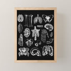 Human Anatomy Black & White Mini Art Print Gallery Image 1