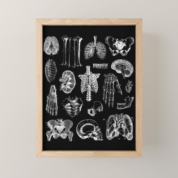 Human Anatomy Black & White Mini Art Print Gallery Image 1