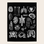 Human Anatomy Black & White Poster Gallery Image 4