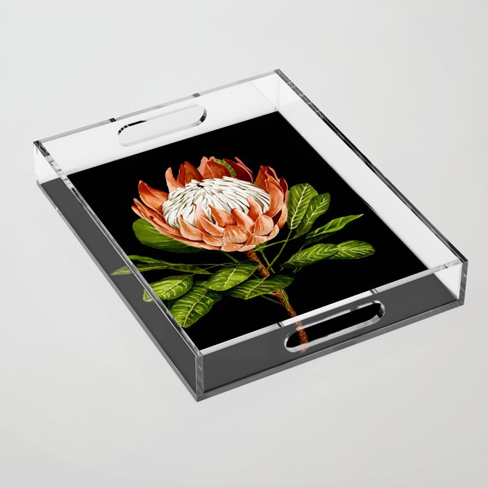 protea watercolor black Acrylic Tray Gallery Image 1