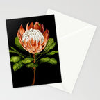 protea watercolor black Stationery Card Gallery Image 2