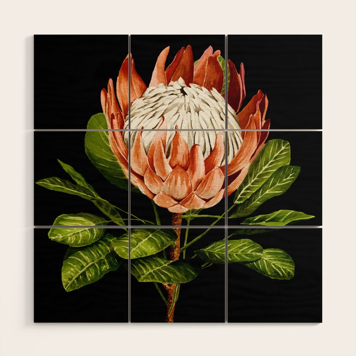 protea watercolor black Wood Wall Art Gallery Image 1