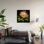 protea watercolor black Wood Wall Art Gallery Image 2