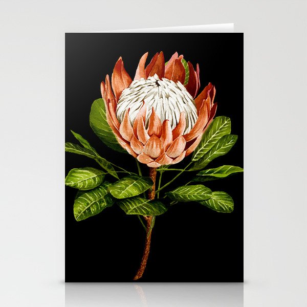 protea watercolor black Stationery Card Gallery Image 1