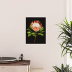 protea watercolor black Poster Gallery Image 2