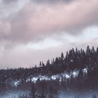 Purple Winter Coffee Mug Gallery Image 2