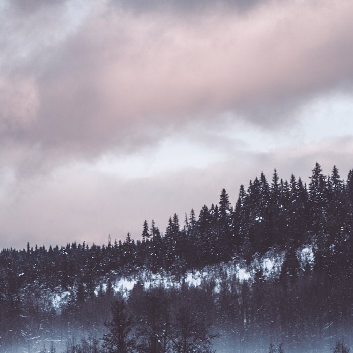 Purple Winter Coffee Mug Gallery Image 2