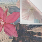 Desert Blooms Wall Tapestry Gallery Image 3
