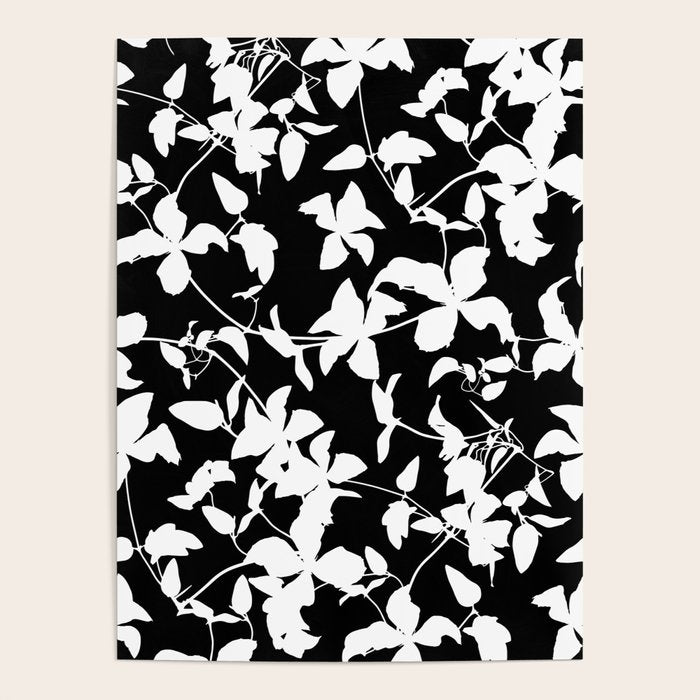 Clematis Contrast  Minimal Floral Silhouettes Poster Gallery Image 2
