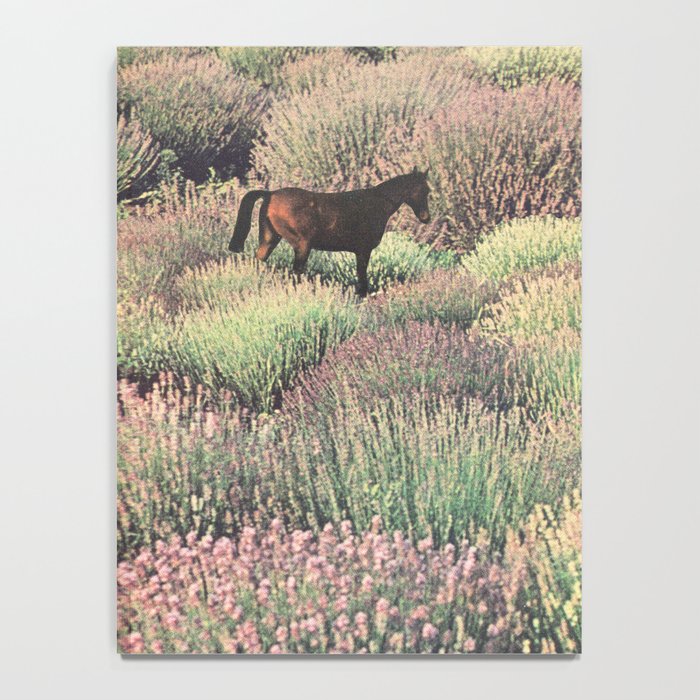 Wild & Free Notebook Gallery Image 4