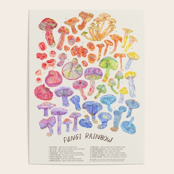 Wild Mushroom Rainbow - Neutral Poster Gallery Image 4