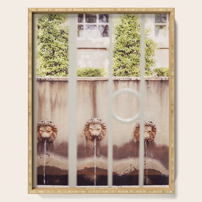Charleston South Carolina Photography x Charleston Courtyard Lions Serving Tray Gallery Image 1
