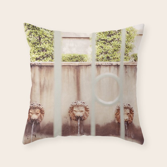 Charleston South Carolina Photography x Charleston Courtyard Lions Throw Pillow Gallery Image 6