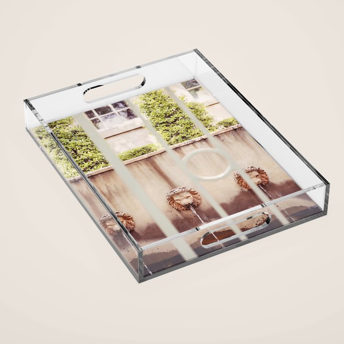 Charleston South Carolina Photography x Charleston Courtyard Lions Acrylic Tray Gallery Image 1
