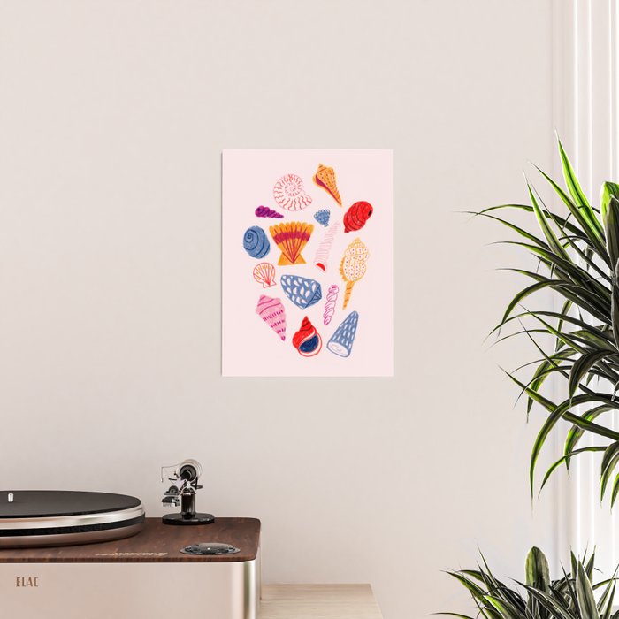 Tropical Seashells Poster Gallery Image 2