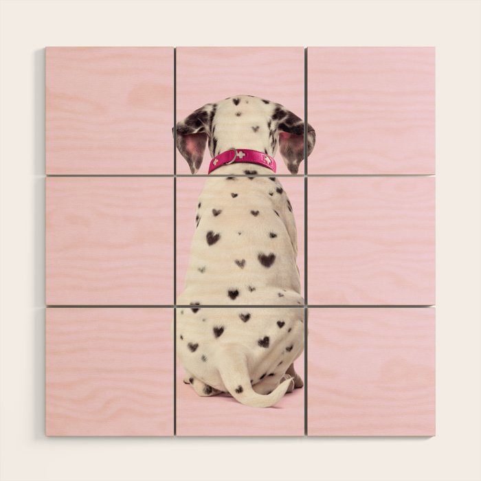 DALMATIAN Wood Wall Art Gallery Image 1