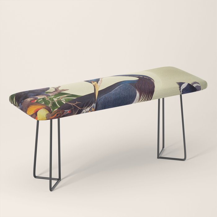 World of Birds Bench Gallery Image 1