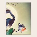 World of Birds Notebook Gallery Image 4