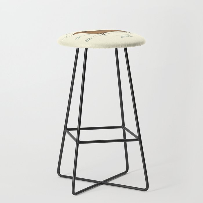 Anatomy of a Dachshund Stool Gallery Image 1