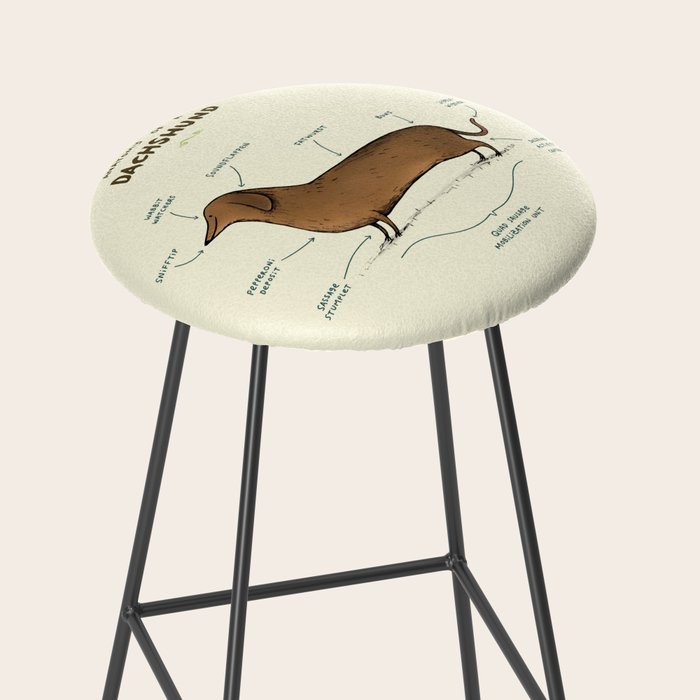 Anatomy of a Dachshund Stool Gallery Image 2