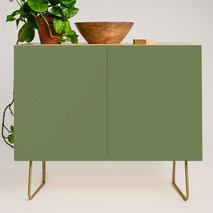 Basil Green Solid Color Credenza Gallery Image 1