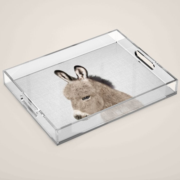 Donkey - Colorful Acrylic Tray Gallery Image 1