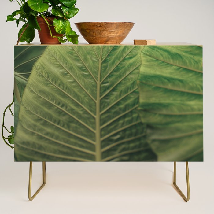 Being Present Credenza Gallery Image 1