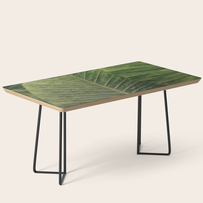 Being Present Coffee Table Gallery Image 1