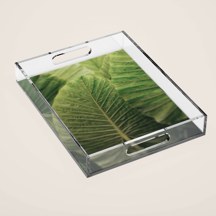 Being Present Acrylic Tray Gallery Image 1