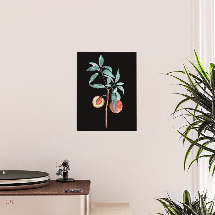 botanical peach Poster Gallery Image 2