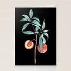 botanical peach Stationery Card Gallery Image 2