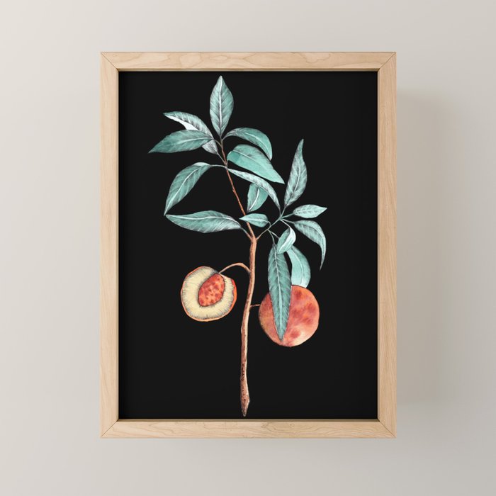 botanical peach Mini Art Print Gallery Image 1