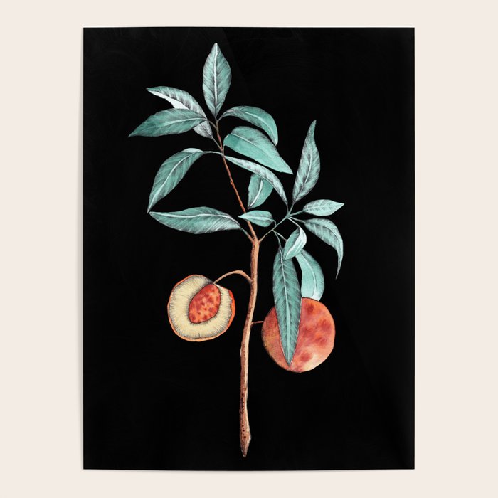 botanical peach Poster Gallery Image 1