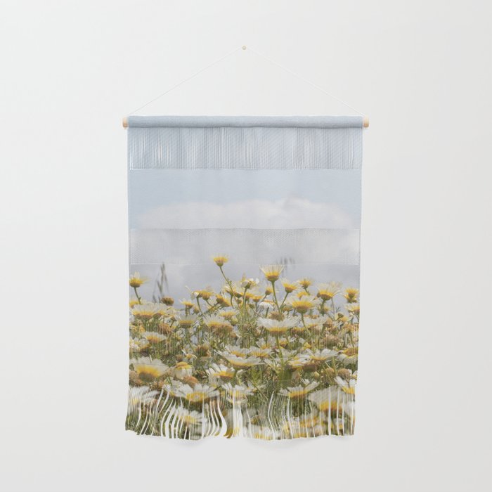 Garden of Daisy Flowers | Nature Photography in Portugal Art Print | Floral Summer Photo Wall Hanging Gallery Image 1