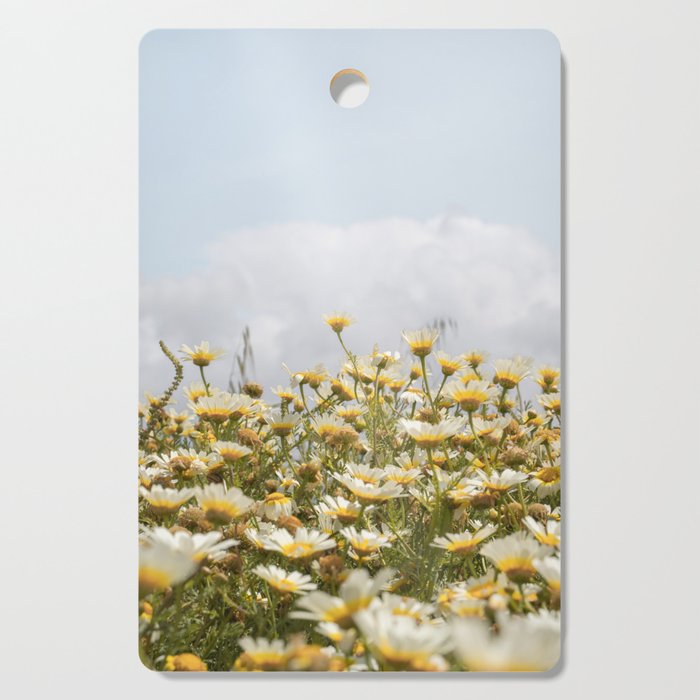 Garden of Daisy Flowers | Nature Photography in Portugal Art Print | Floral Summer Photo Cutting Board Gallery Image 1